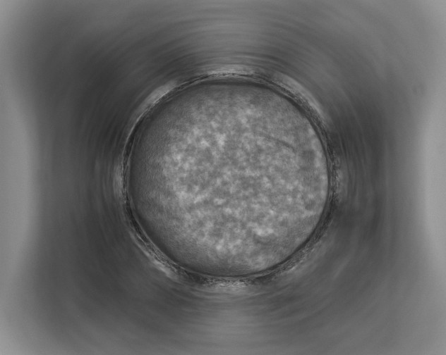 X0000112950882200909141405