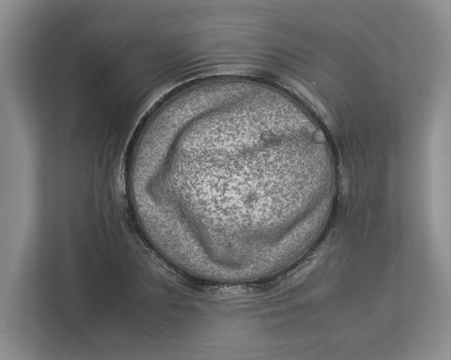 X0000112950883200909141405