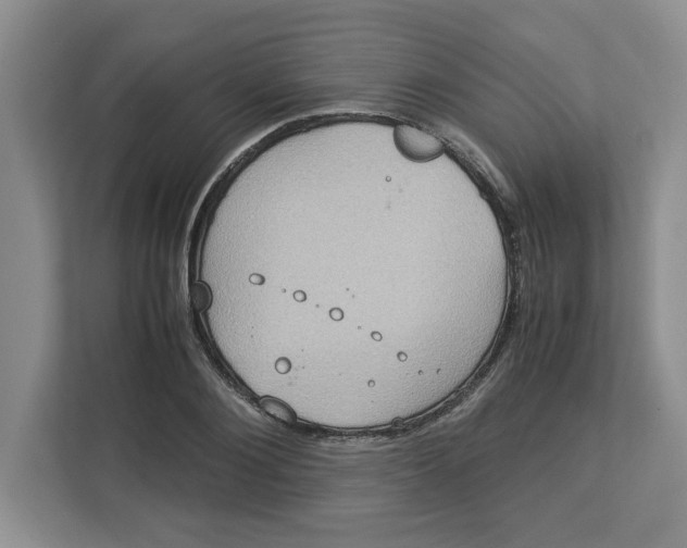 X0000112950884200909141405