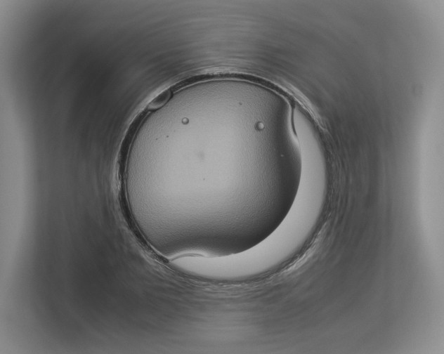 X0000112950885200909141405