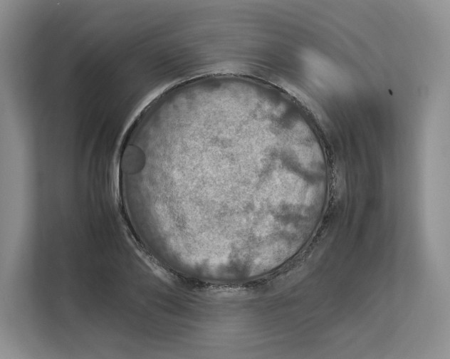 X0000112950886200909141405