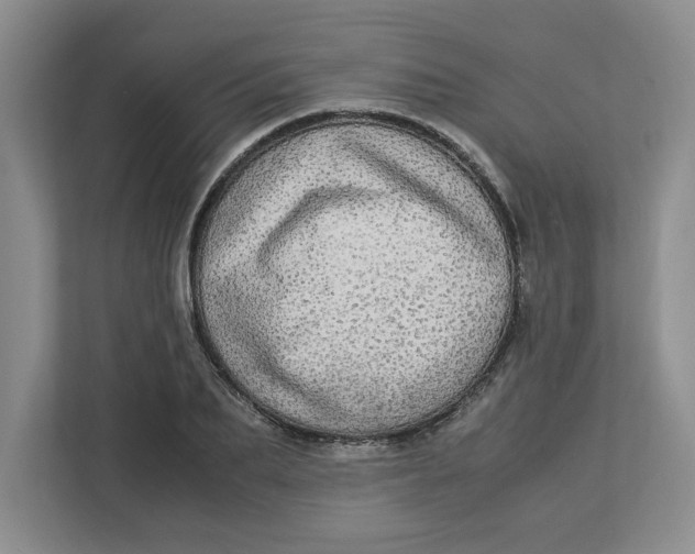 X0000112950887200909141405