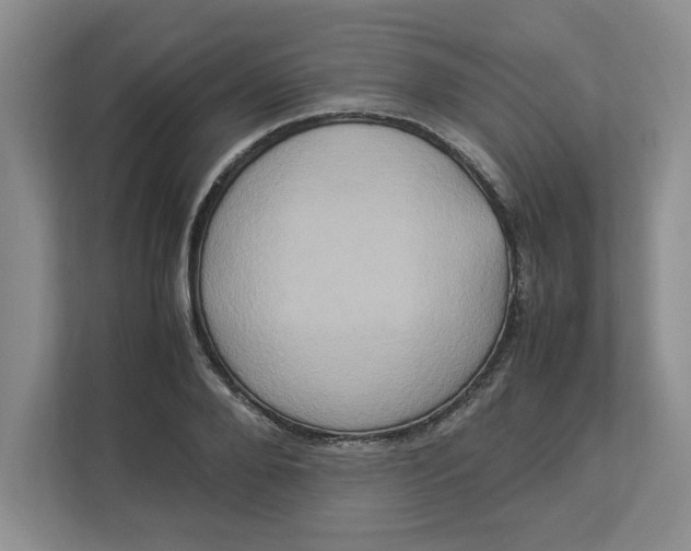 X0000112950888200909141405