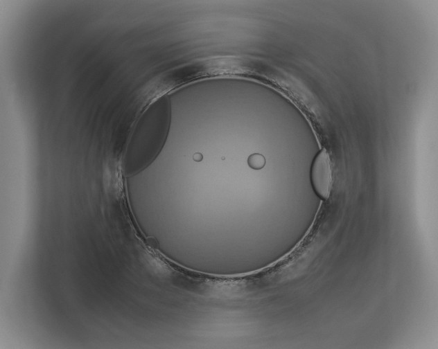 X0000112950889200909141405