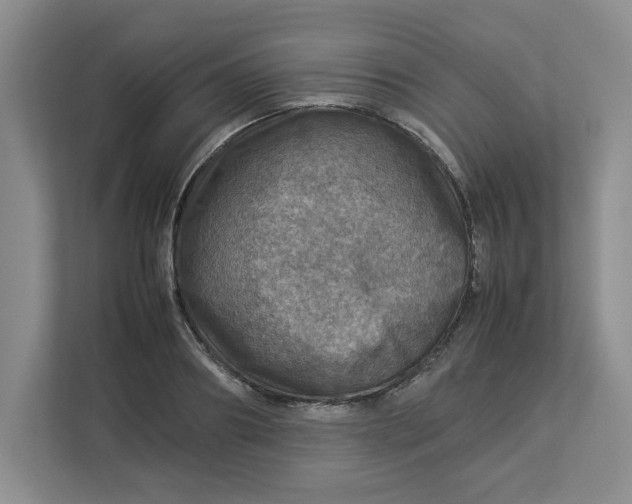 X0000112950890200909141405