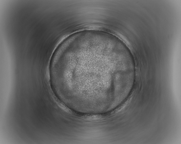 X0000112950891200909141405