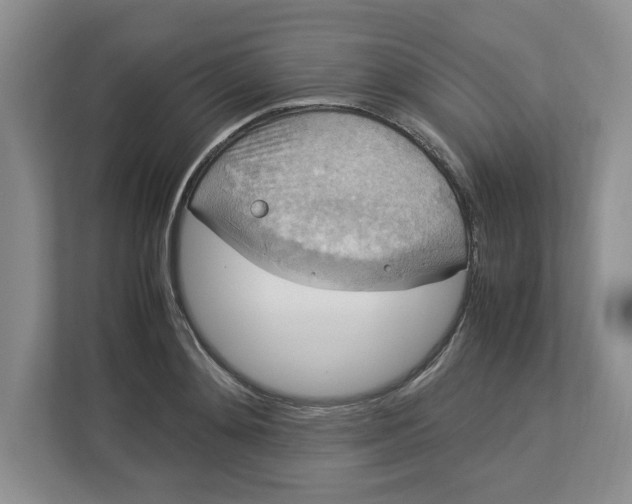 X0000112950892200909141405