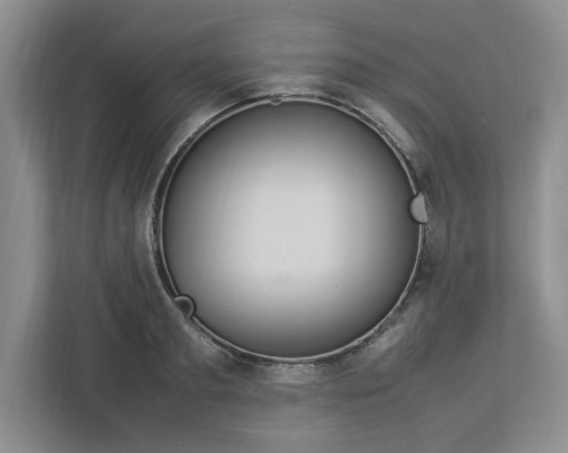 X0000112950893200909141405