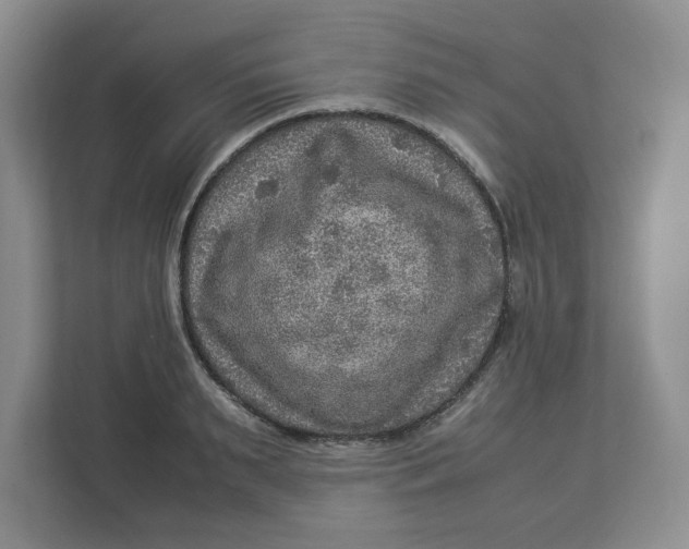 X0000112950895200909141405