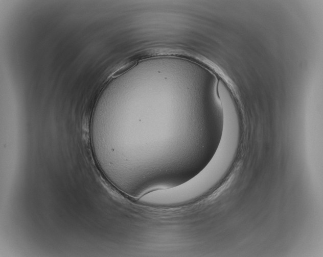 X0000112950897200909141405