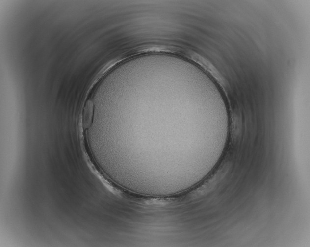 X0000112950898200909141405