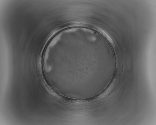 X0000112950899200909141405