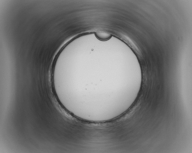 X0000112950900200909141405