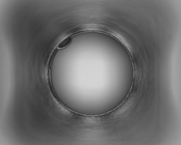 X0000112950901200909141405