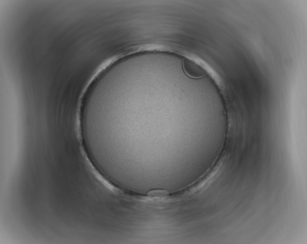 X0000112950902200909141405