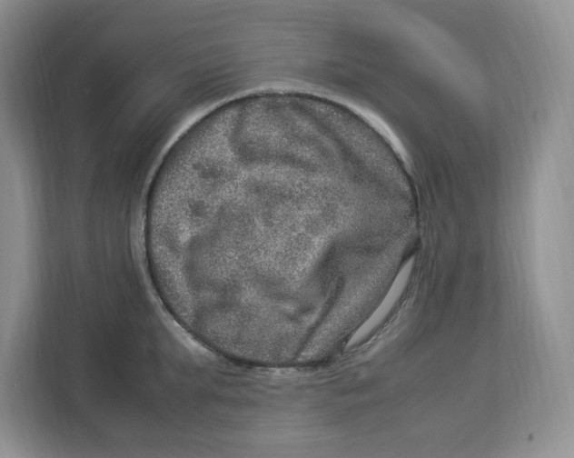 X0000112950903200909141405