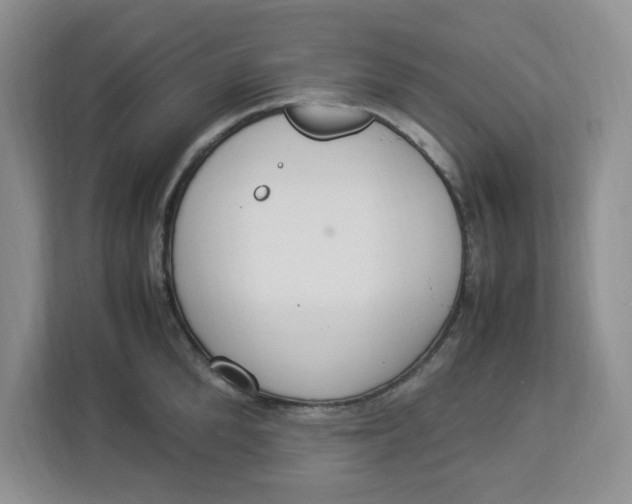 X0000112950904200909141405