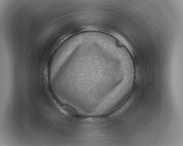 X0000112950906200909141405