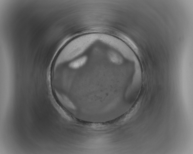 X0000112950907200909141405