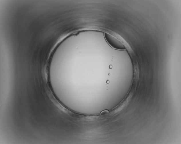 X0000112950908200909141405