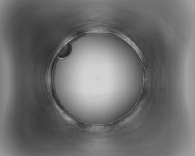 X0000112950909200909141405