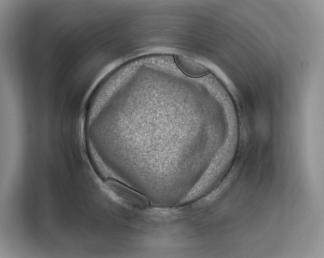 X0000112950910200909141405