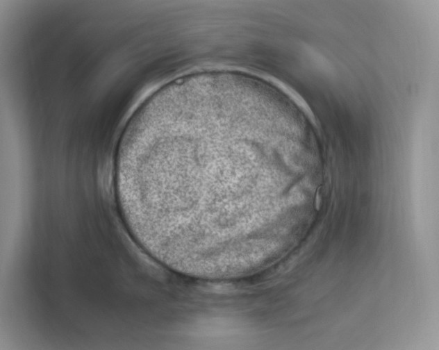 X0000112950911200909141405