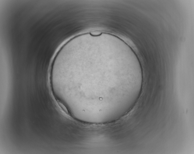 X0000112950912200909141405