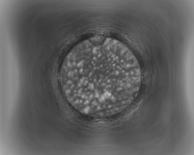 X0000112950913200909141404