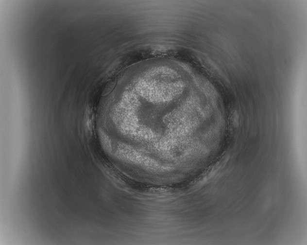 X0000112950914200909141404