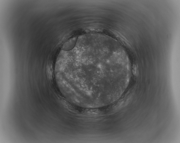 X0000112950915200909141404