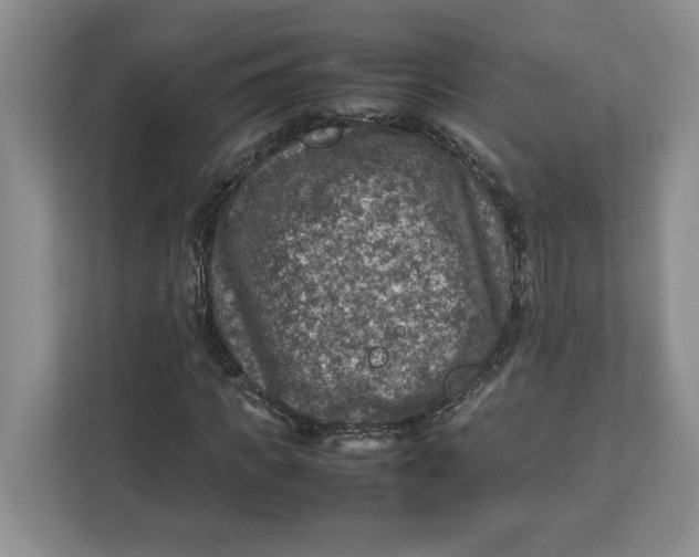 X0000112950917200909141404