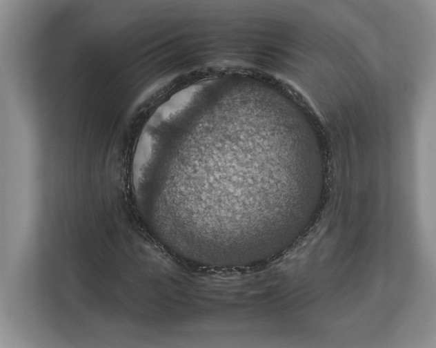 X0000112950919200909141404