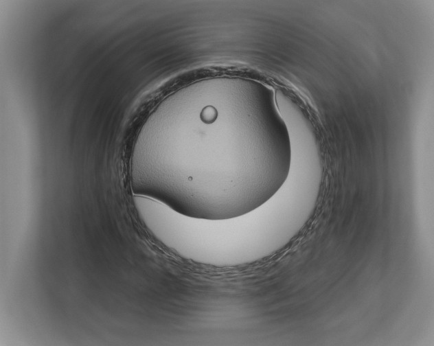 X0000112950920200909141404