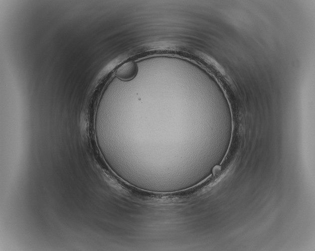 X0000112950922200909141404