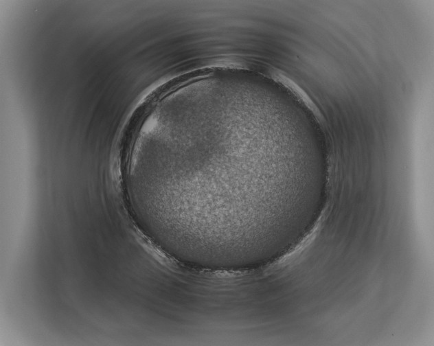 X0000112950923200909141404