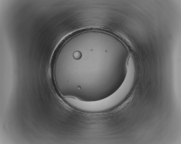 X0000112950924200909141404