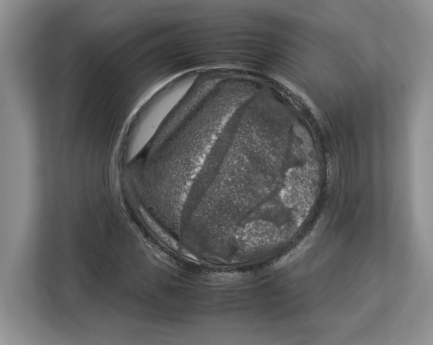 X0000112950925200909141404