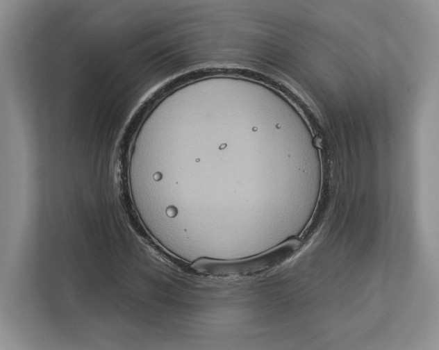 X0000112950926200909141404