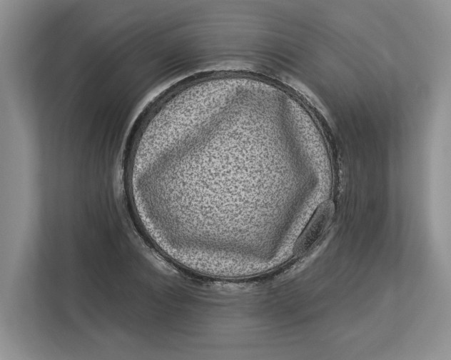 X0000112950928200909141404