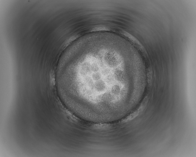 X0000112950929200909141404