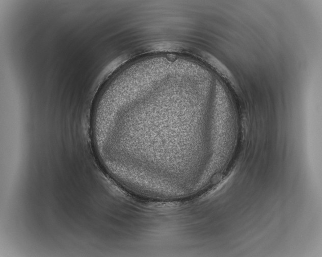 X0000112950930200909141404