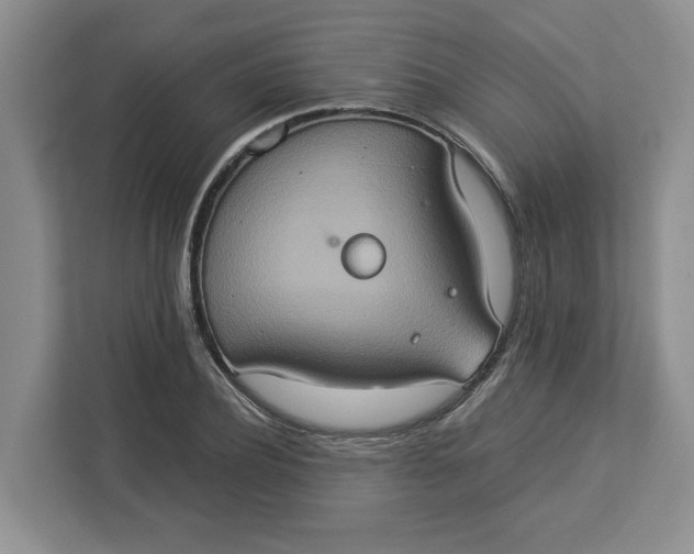 X0000112950932200909141405