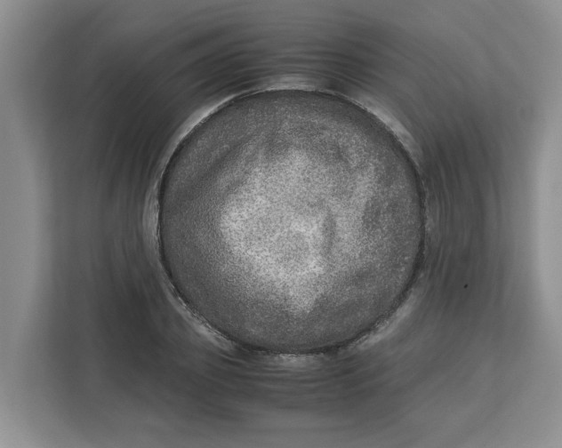 X0000112950933200909141405