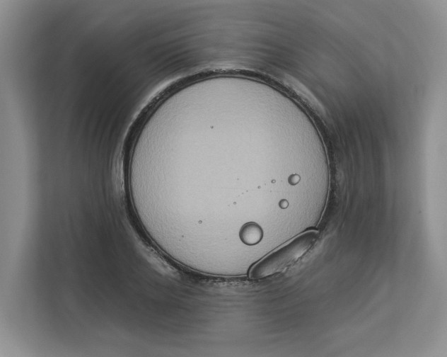 X0000112950934200909141405