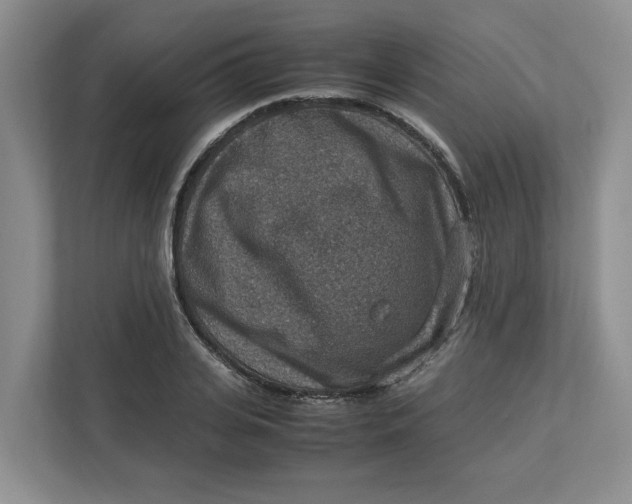 X0000112950935200909141405