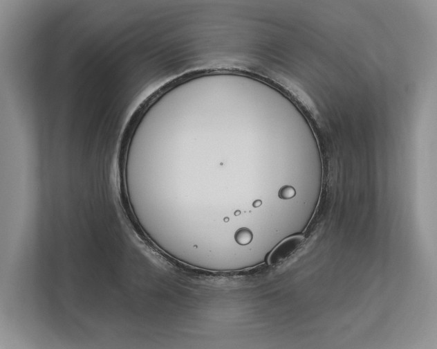 X0000112950936200909141405