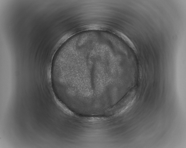 X0000112950938200909141405