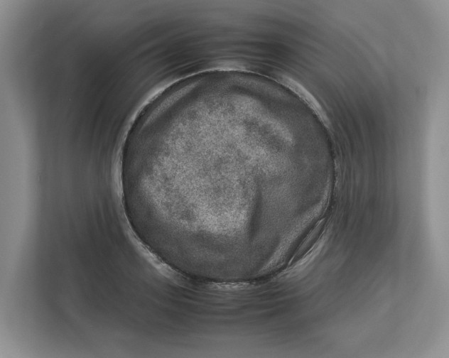 X0000112950939200909141405