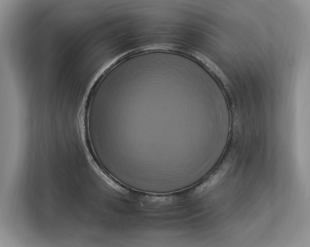 X0000112950941200909141405